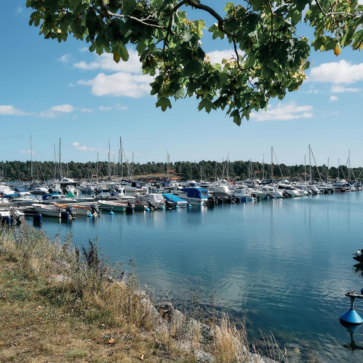 A marina with boats docked under a clear blue sky and leafy trees.